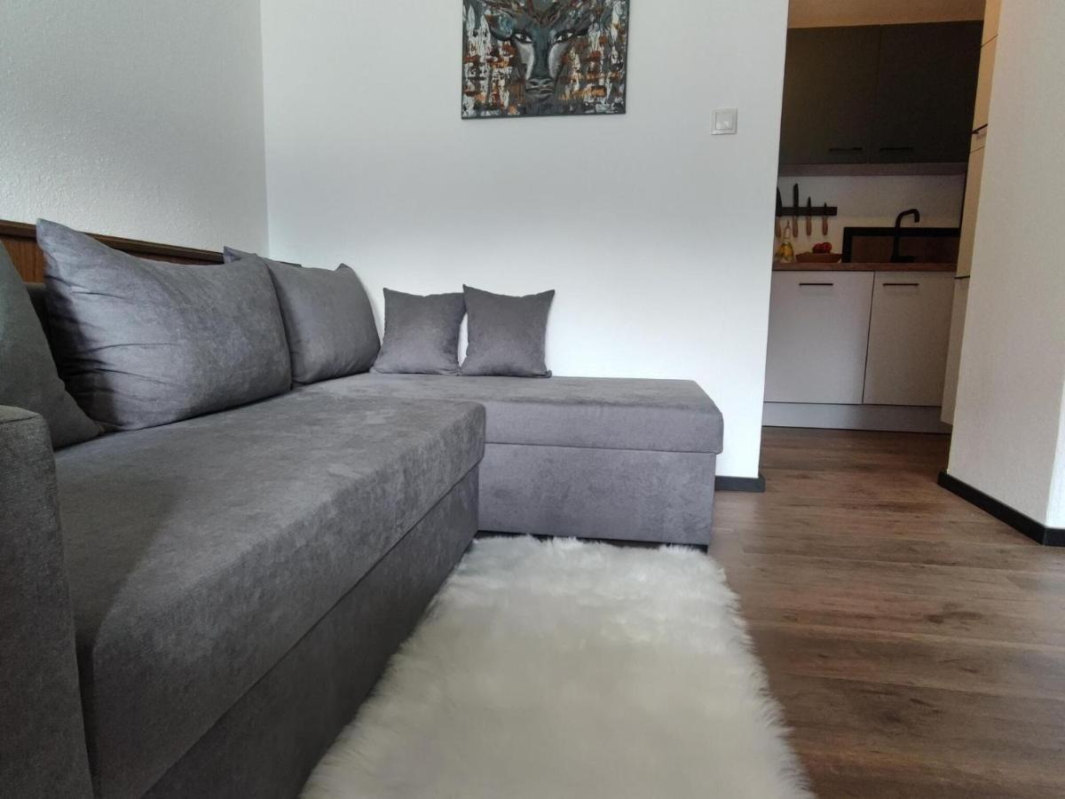 Great Apartment Near The Ski Area Hippach Eksteriør bilde